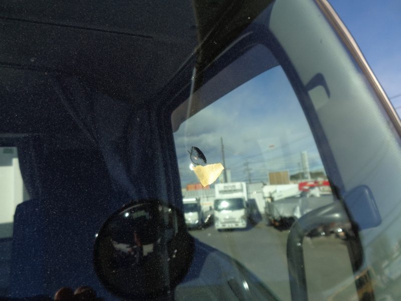 いすゞ 大型トラック ダンプ土砂5.1m 画像